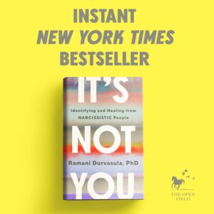 Instant New York Times Bestseller Book Cover of Its Not You